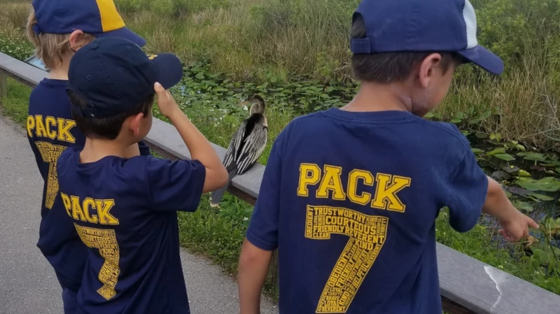 Cub looking at Anhinga